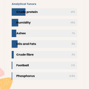 אלתיאה לייט מיני סופר פרימיום 14 ק"ג