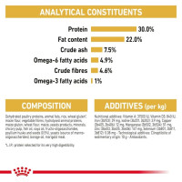 רויאל קנין פרסי לחתול בוגר 10 ק